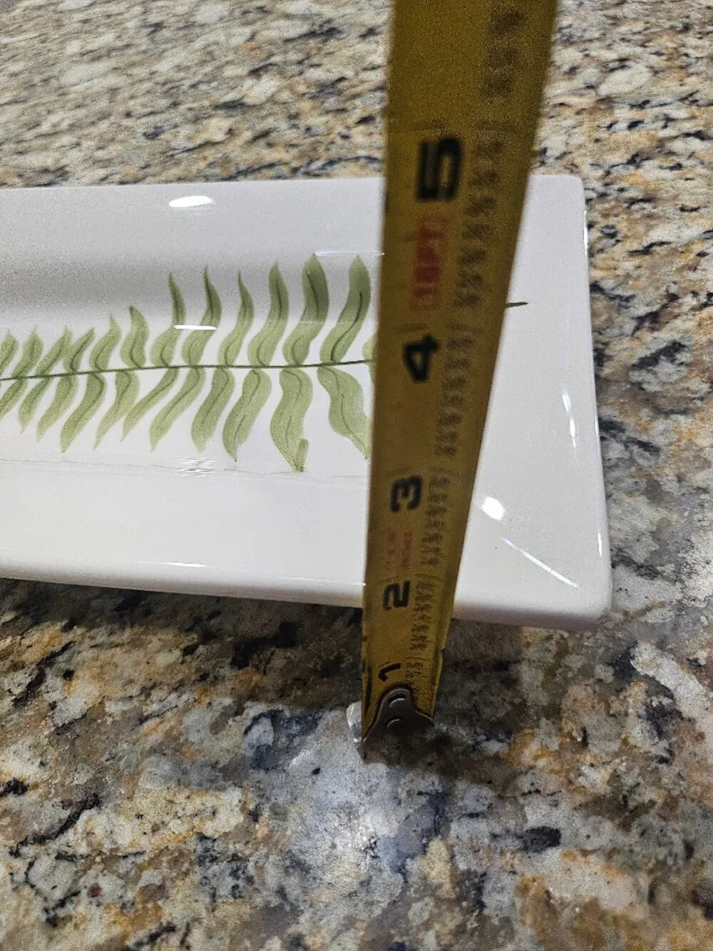 Pottery Barn FERN Botanical Long Rectangular Appetizer Serving Platter 14